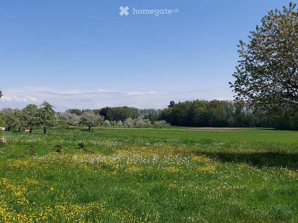 6 1/2-Zimmer-Hausteil mit Garten,  ruhige Lage, Aussicht 5