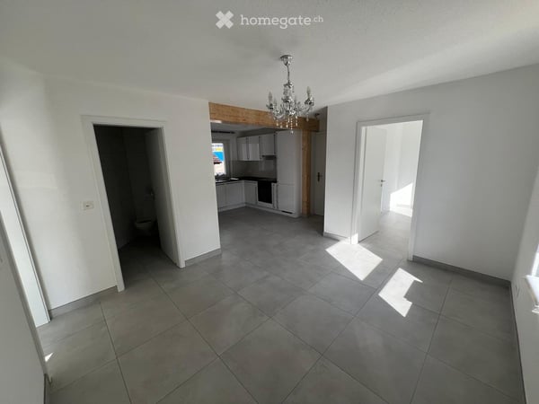 À LOUER : APPARTEMENT 3 PIÈCES ENTIÈREMENT RÉNOVÉ 1