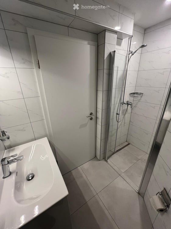 À LOUER : APPARTEMENT 3 PIÈCES ENTIÈREMENT RÉNOVÉ 5