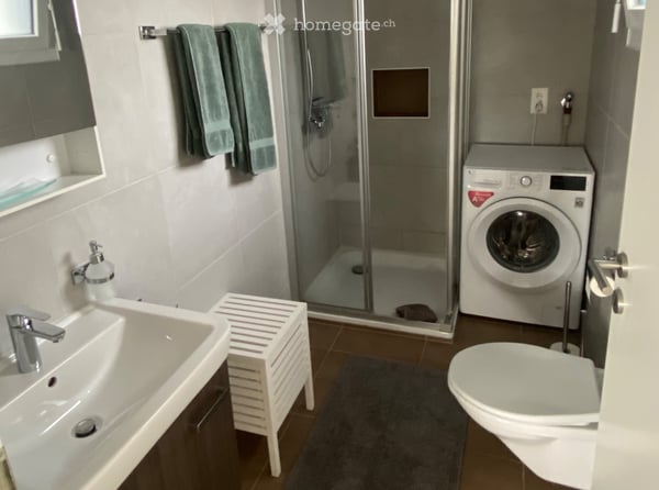 Charmant appartement meublé 3.5 pièces 4