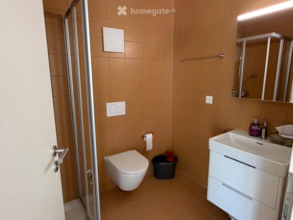Appartement à louer 3