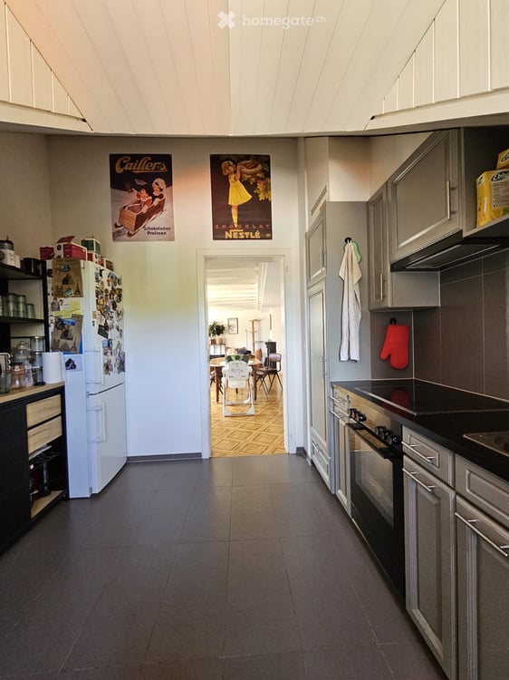Bel appartement 6 pièces à chêne bourg 2