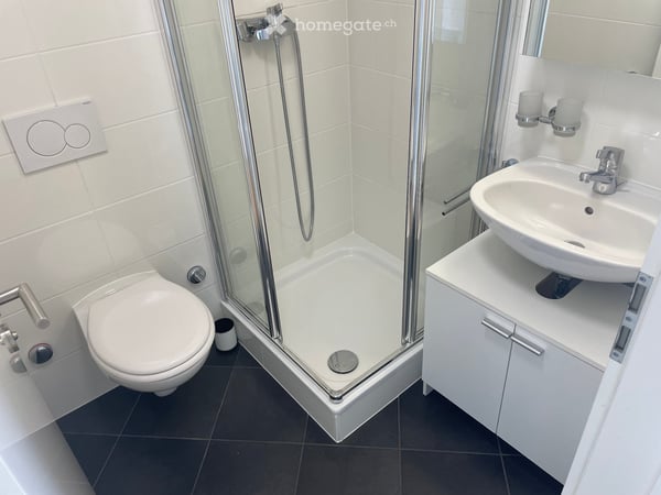 Appartement 3 chambres 2 salles de bains centre Plainpalais. 5