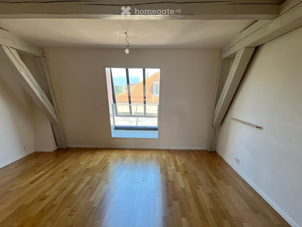 Appartement 3 chambres 2 salles de bains centre Plainpalais. 1