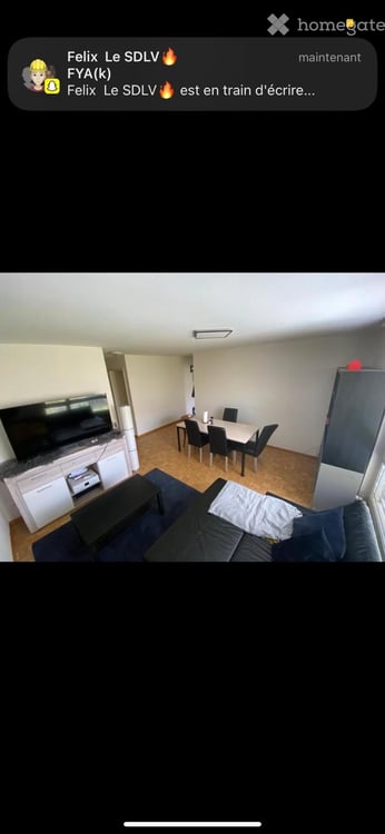 3-Bedroom Apartment in St. Gallen Looking for 3 New Tenants 4