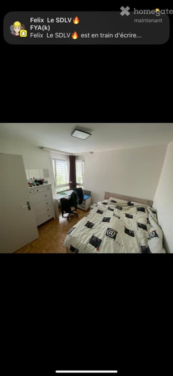 3-Bedroom Apartment in St. Gallen Looking for 3 New Tenants 3