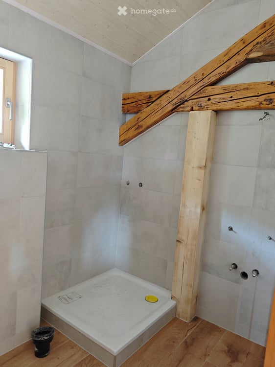 Appartement 4,5 pièces avec écurie et terrain pour chevaux 6
