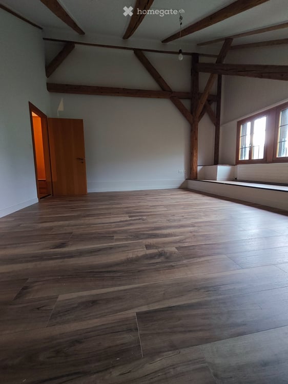Appartement 4,5 pièces avec écurie et terrain pour chevaux 9