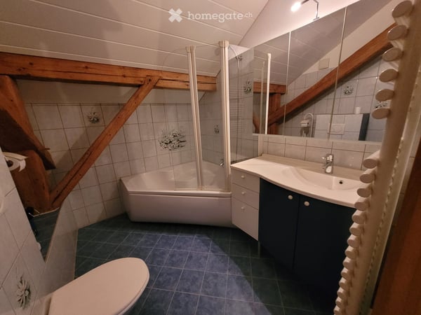 Appartement 4,5 pièces avec écurie et terrain pour chevaux 12