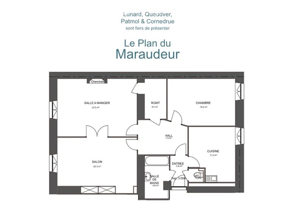 Grande chambre en colocation en centre ville 4