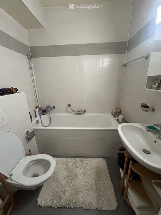 November Short-Term Sublet Perfect Between Two Homes 4