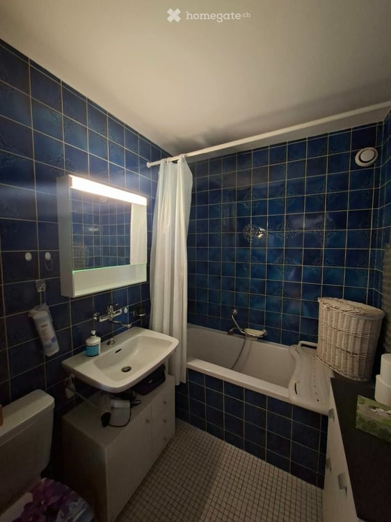 Grand appartement lumineux 2,5 pièces avec vue sur le lac 2
