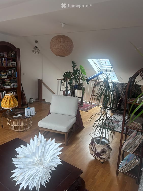 Magnifique Triplex à Lausanne, Riponne, 2.5 pièces - 160m2 4