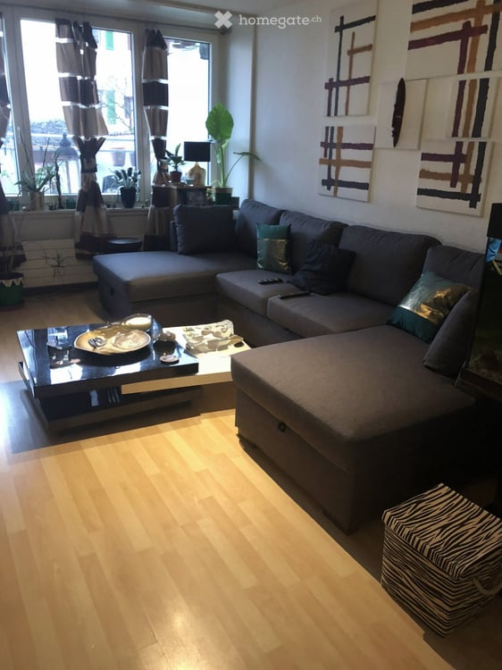 3 pièces traversant de 79 m² avec balcon et vue sur le lac 2