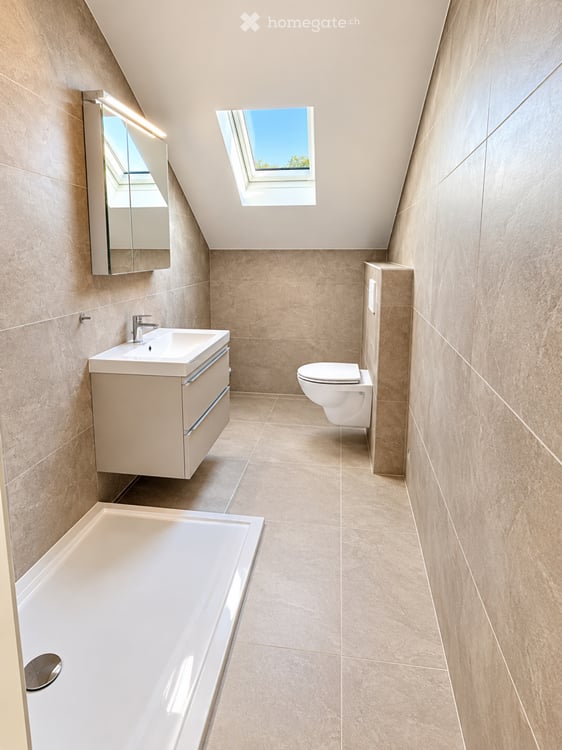 Appartement combles vue sur le lac 4