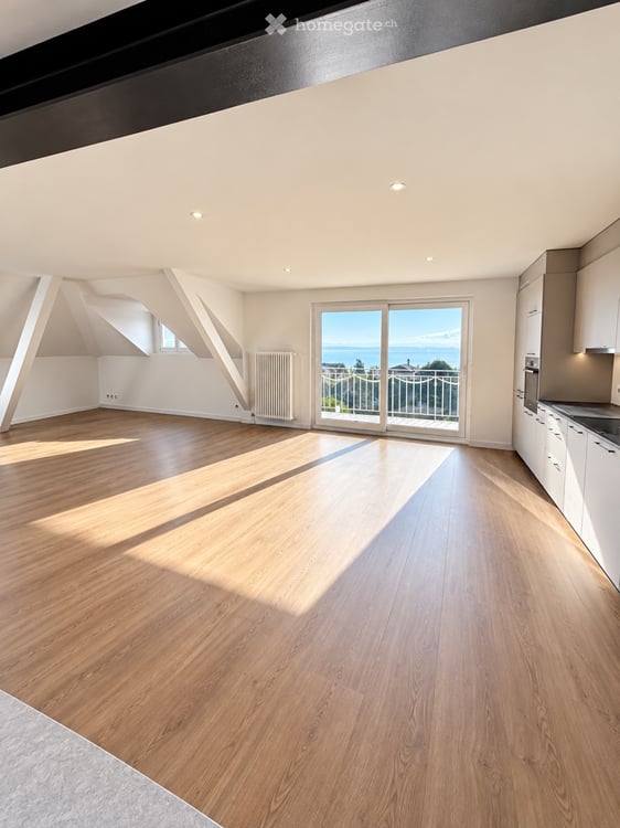 Appartement combles vue sur le lac 1