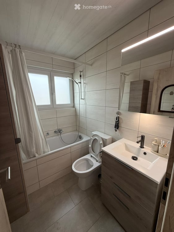 Charmant appartement entièrement rénové 5