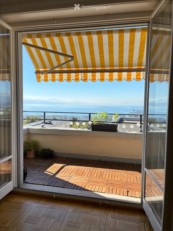 Grand appartement 2.5 pièces - Calme, lumineux, vue lac 1