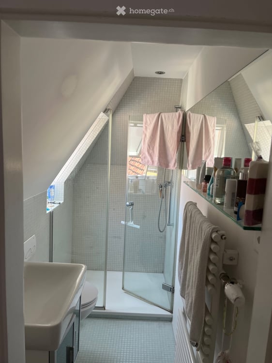 Charmante 43m2 Dachwohnung mit Terrasse im Breitenrain! 4