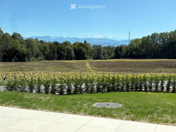 A louer - Villa familiale neuve avec terrasse et jardin