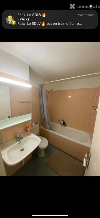 Bedroom Apartment in St. Gallen 5