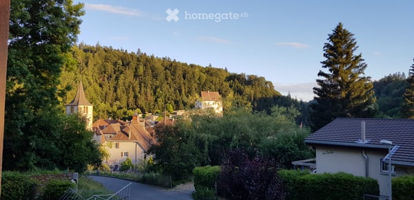Valangin (Neuchâtel), appartement 3,5 pièces, forêt proche 5