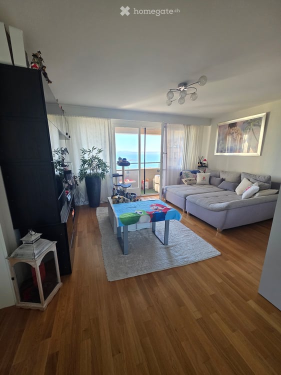 Appartement vue sur le lac 3