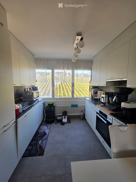 Appartement vue sur le lac 2