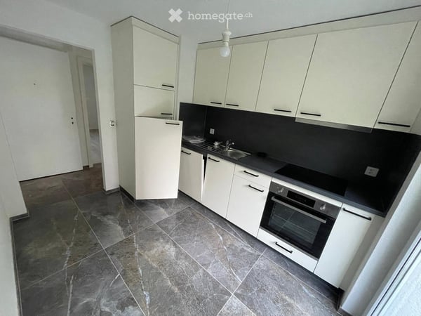 Très bel appartement de 3.5 pcs refait à neuf. 1ère location 2