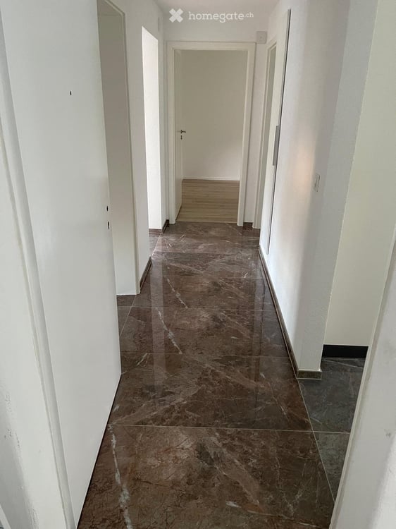 Très bel appartement de 3.5 pcs refait à neuf. 1ère location 4