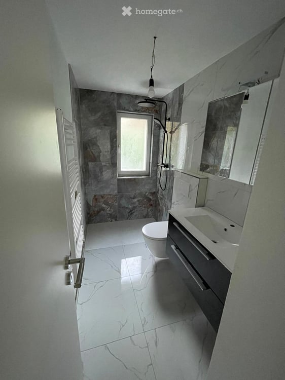 Très bel appartement de 3.5 pcs refait à neuf. 1ère location 5