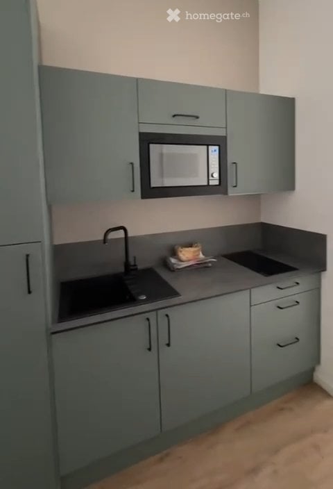 Appartement moderne meublé à louer à Zurich 8055 2