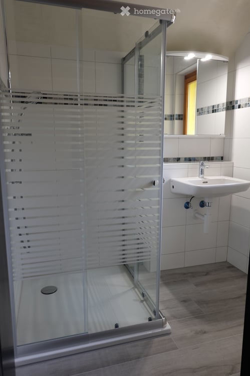 Lumineux appartement de 2,5 pièces à Travers 4