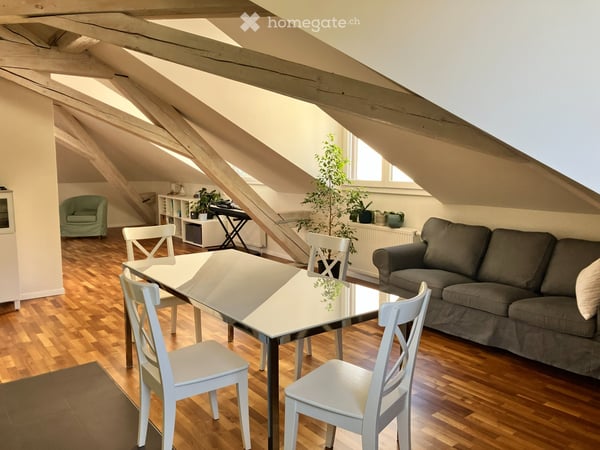 Loft Lausanne vue cathédrale 1