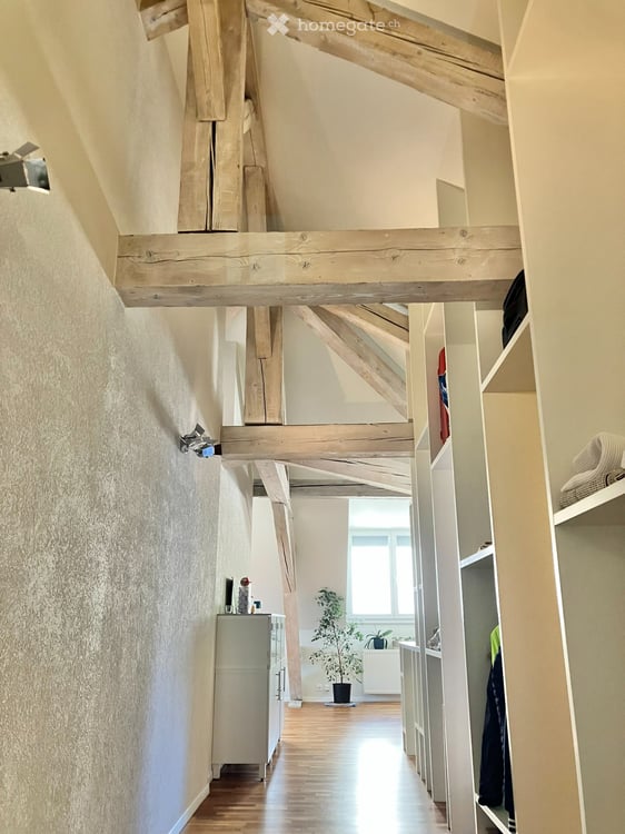 Loft Lausanne vue cathédrale 4