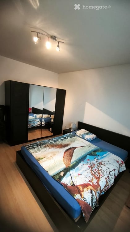 Appartement 3,5 pces dans petit locatif 2