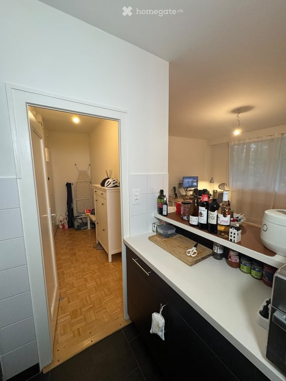 Charming Apartment in Eaux-Vives, Available November 1, 2026 4