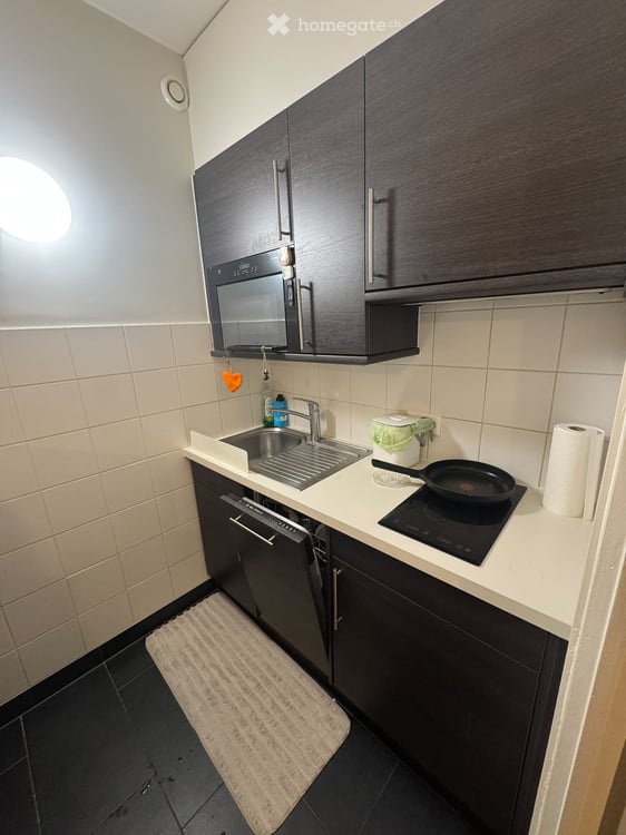 Charming Apartment in Eaux-Vives, Available November 1, 2026 3