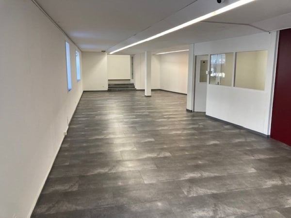 05860 - Commercial - Avenue de France 5 - Monthey 2