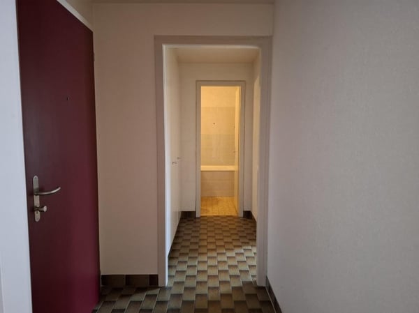 07153 - App. 1.5 pièces - Rte du Tonkin 14A-B - Monthey 3