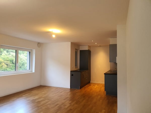 04562 - Appartement 2.5 pièces - Ch. du Verger 22A, B et C - Collombey 8