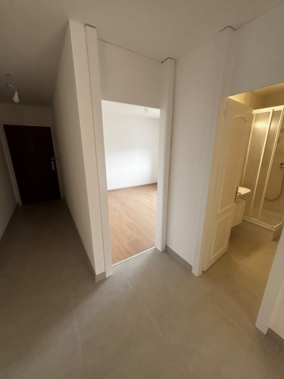 07774 - Appartement 2.5 pièces - Ch. des Dailles 11 - Monthey 4