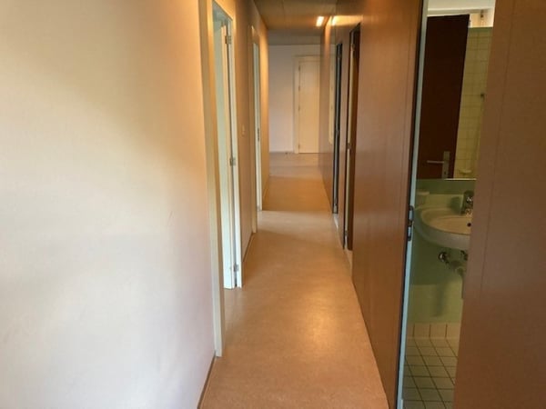 02551 - Appartement 4.5 pièces - Rte des Iles 13 - St-Maurice 8