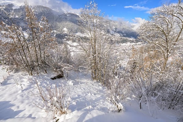 Chalet de 4.5 pièces à louer à Sarreyer, Valais 20