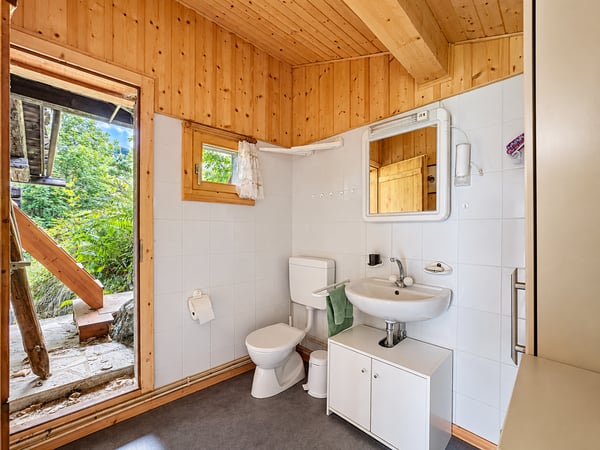 Parenthèse alpine – nature brute et silence retrouvé 11