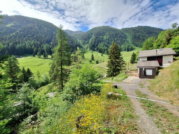 Chalet de 4.5 pièces à Martigny-Combe 19