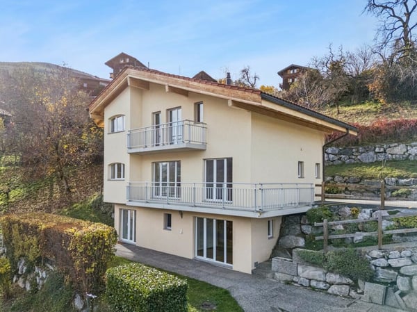 Magnifique maison individuelle à Vex 17