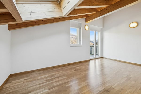 Magnifique maison individuelle à Vex 11