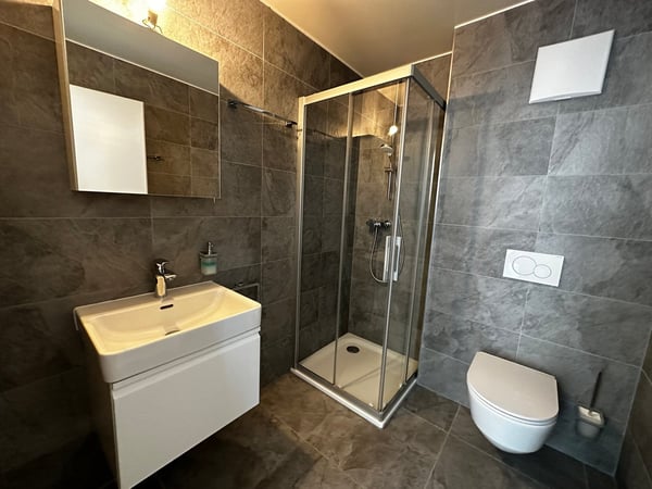 Vionnaz – Magnifique appartement 3.5 pièces – Attique 2