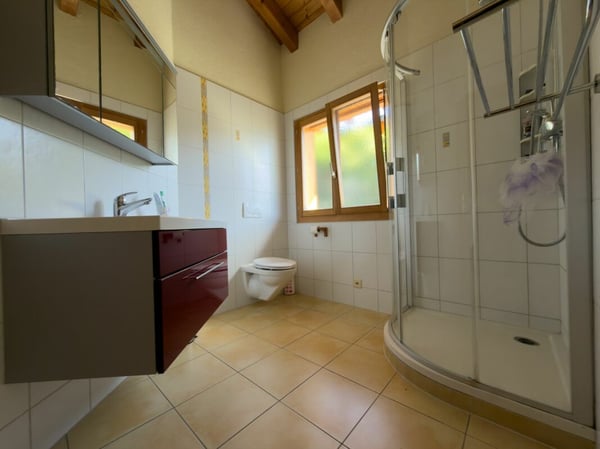 Magnifique maison avec vue panoramique sur les Alpes 12
